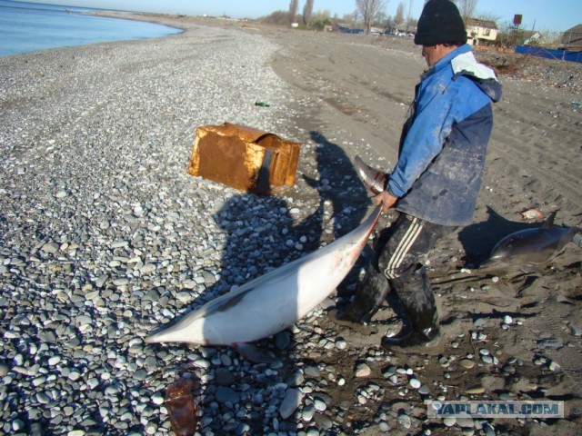 Один апрельский 2010г день в Абхазии