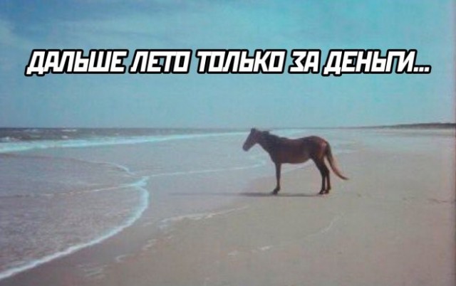 Прикольные и просто красивые картинки 01.09.2023