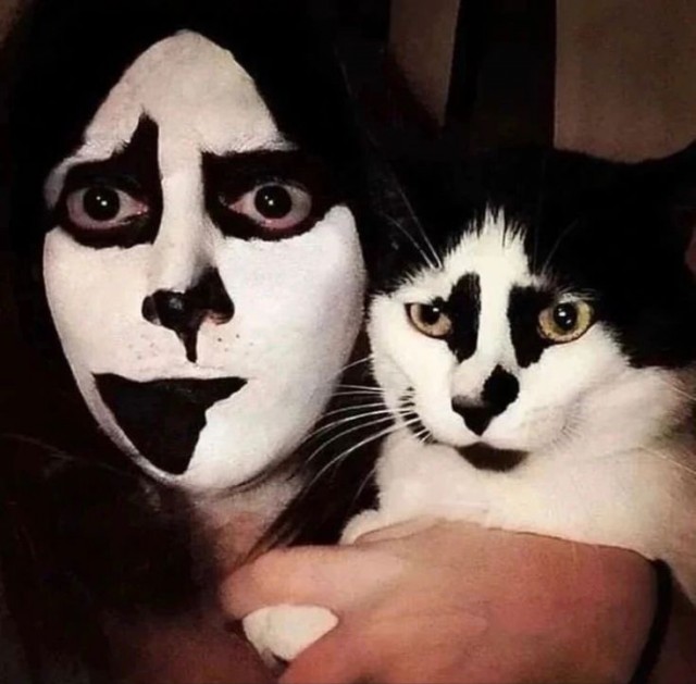 Мой котовторник..