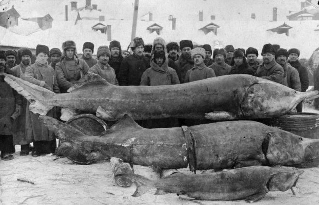 Немного старых и не очень фото