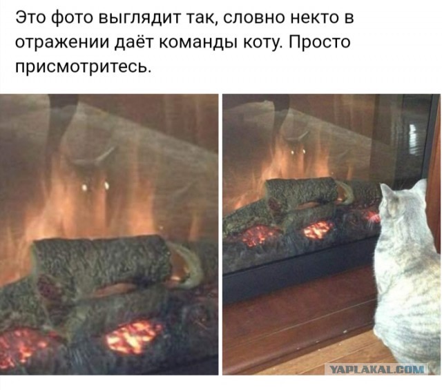Просто разное весёлости картинки и видео из интернета