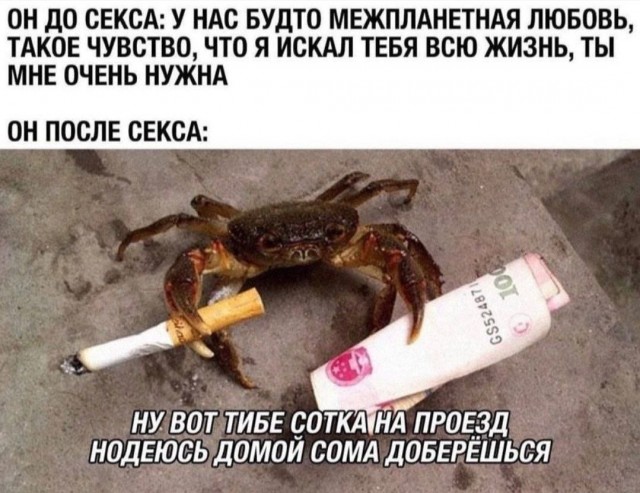 Веселые картинки к пятнице (23.08)