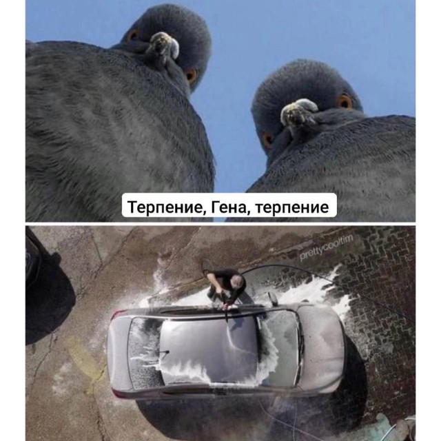 Завалялось тут случайно немного забавных картинок