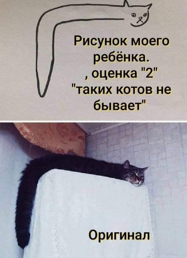 Так себе картинки 28.10.24