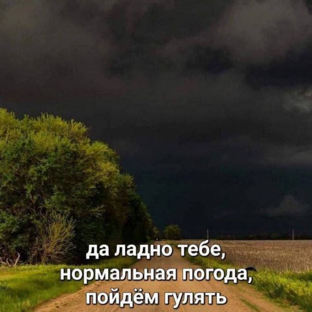 Так себе картинки 13.07.25