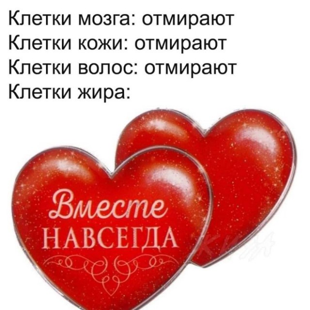 Веселые картинки в понедельник (21.07)