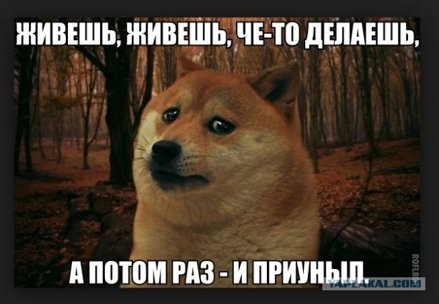Жёсткая авария с ДПС: в Приморье смяли полицейскую машину