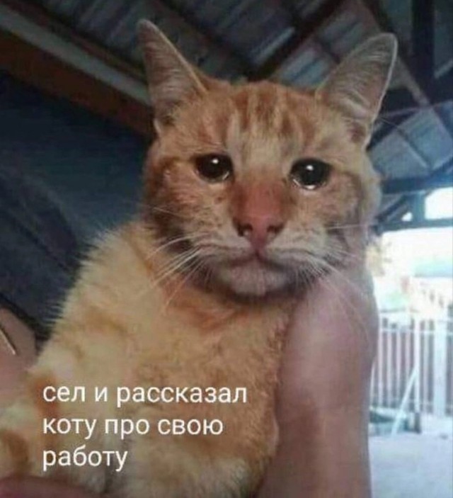 Маленькая пятница 20.08.25