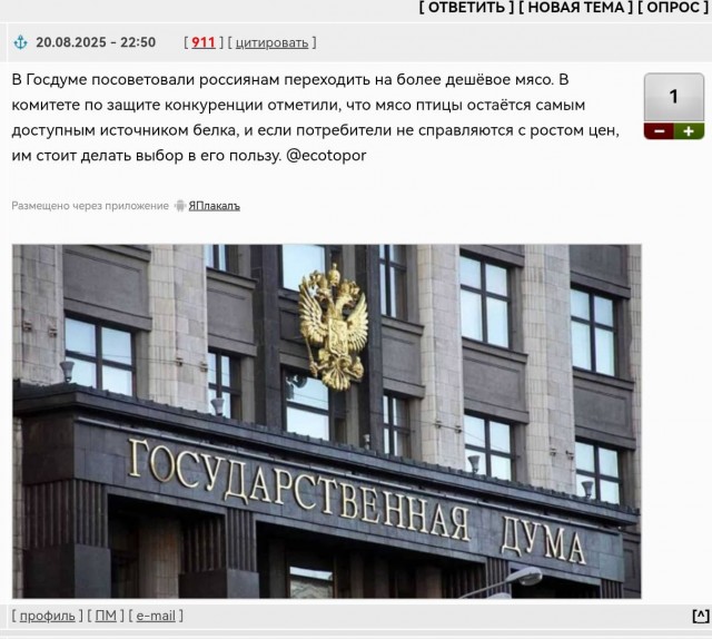 Как вам предложение?