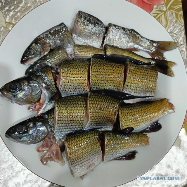 Рыбалка это кайф