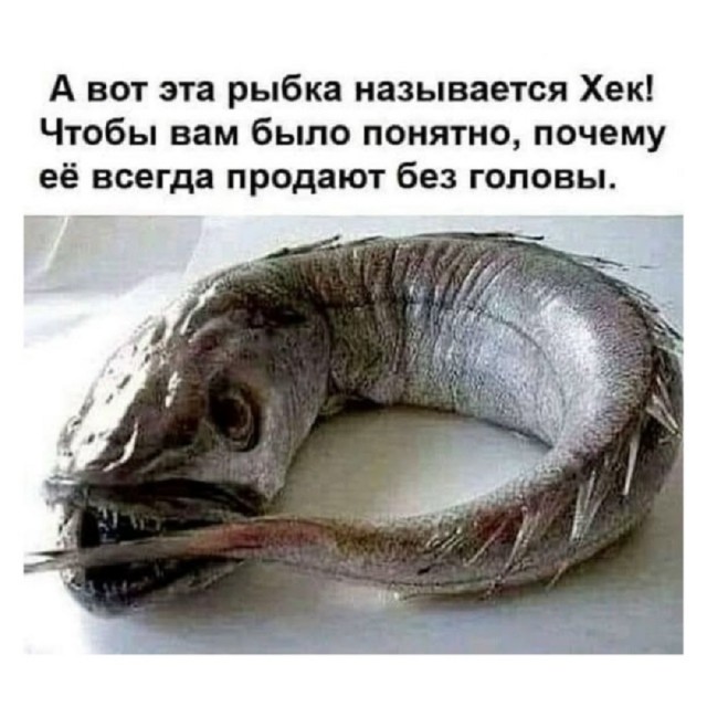 Так себе картинки 02.10.25
