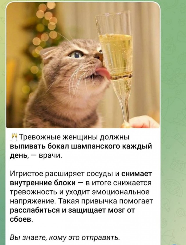 Прикольные и просто красивые картинки 18.11.2025