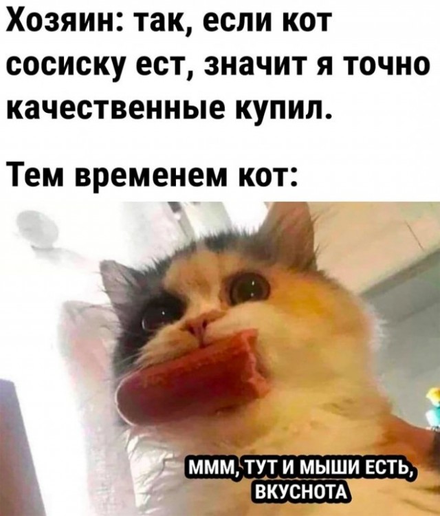 Веселые картинки в пятницу (21.11)