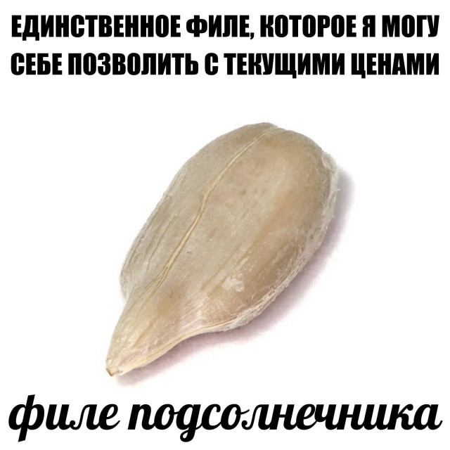 Картинки для деградации 135 (разной степени свежести)