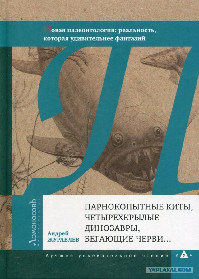 Как коты влияют на людей