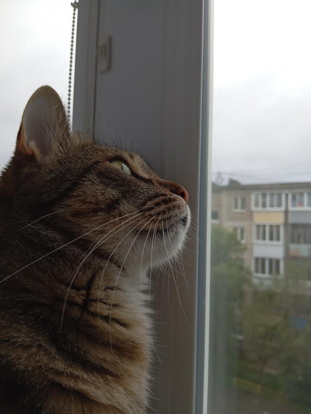 Степан.