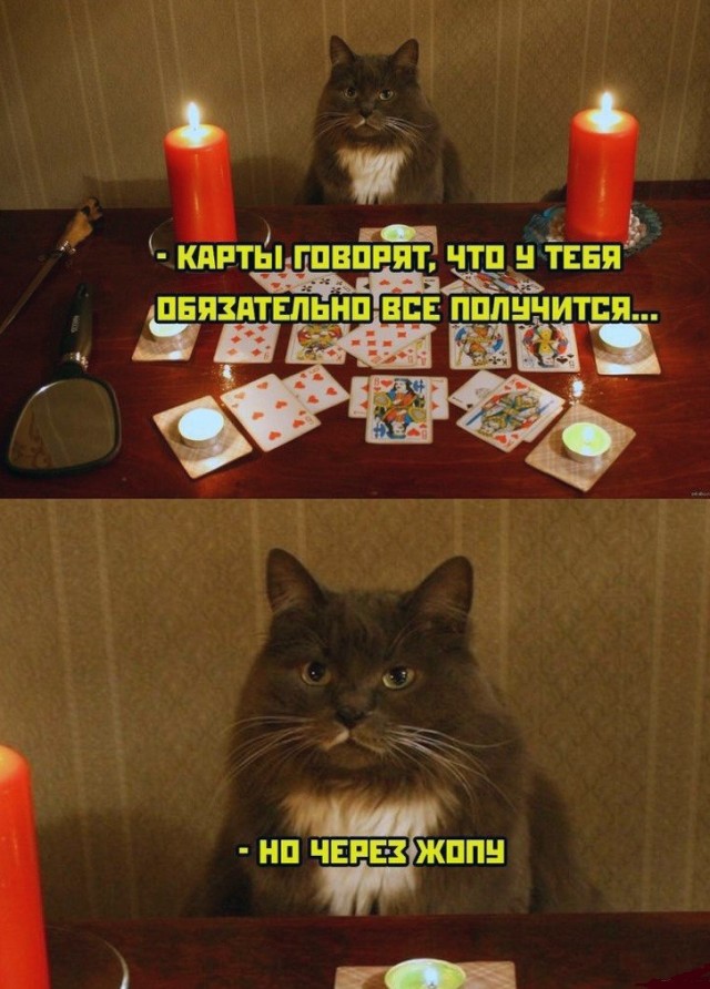 Субботние картинки