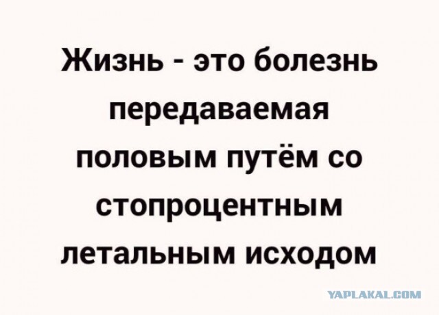 Бег реально убивает, показало исследование