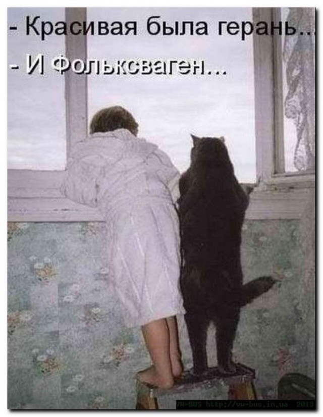 Веселые картинки в понедельник (17.08)