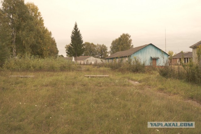 Заброшенный лагерь "Спутник", Вологодская область.