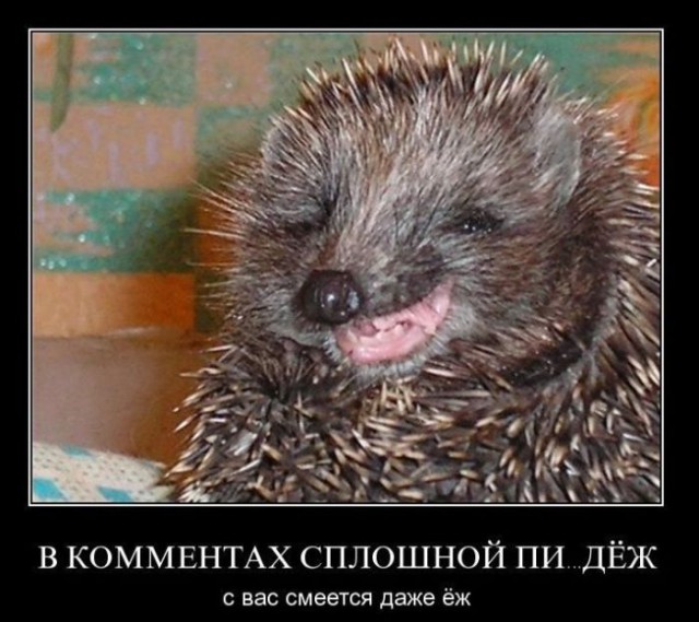 Демотиваторы.