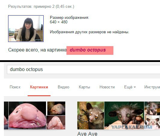 Обнаружил переписку своей жены с другом детства