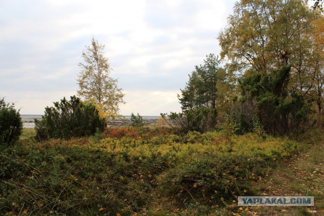 Поездка в Карелию