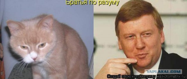 10 вещей, из-за которых мне стыдно за Россию