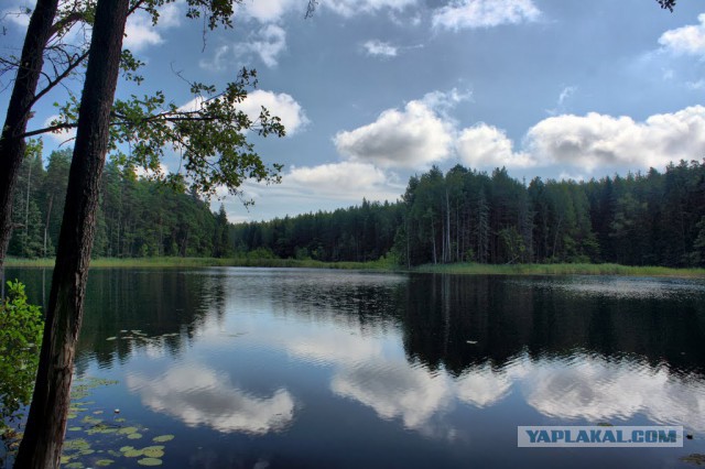 Лепельский Район Фото