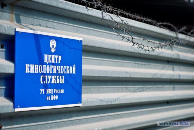 Центр кинологической службы Упр-ния на транспорте