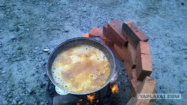 Как мы отметили профессиональный праздник