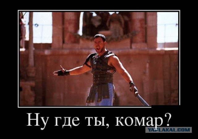 Картинки для настроения