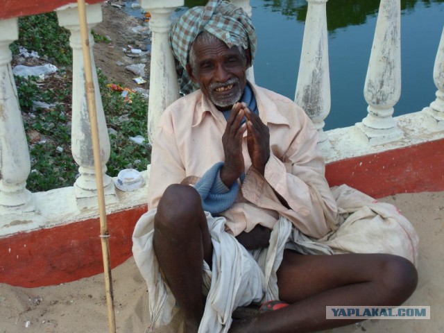 Такое увидишь только в Индии