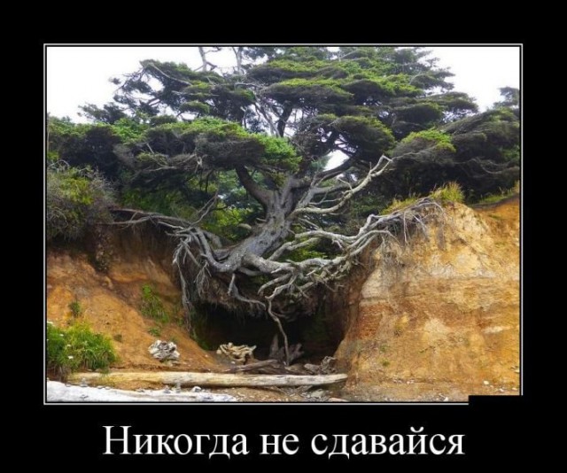Абсурдный юмор ч.15