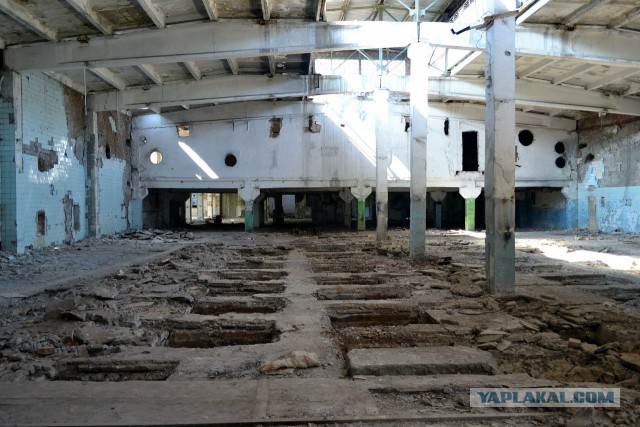 Семикаракорский консервный завод