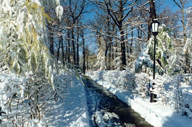 Пенза. старые фото.