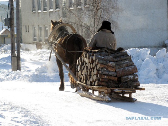 Живой ли еще ? Не уволили уже?