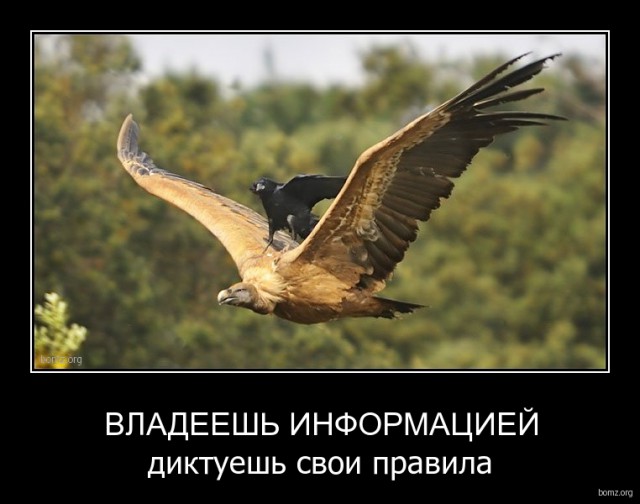 Подборка интересных и веселых картинок