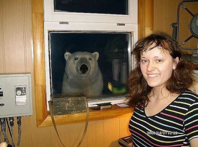 Самые смешные животные