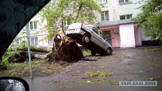 В Москве ураган!