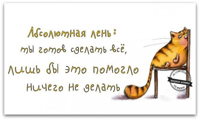15 самых правдивых историй из жизни настоящих лентяев!