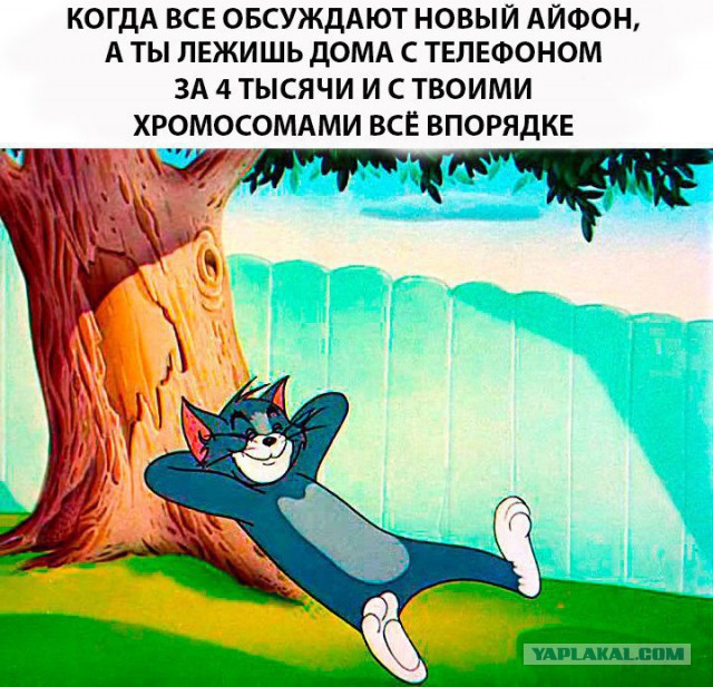 Смешные картинки и комментарии.