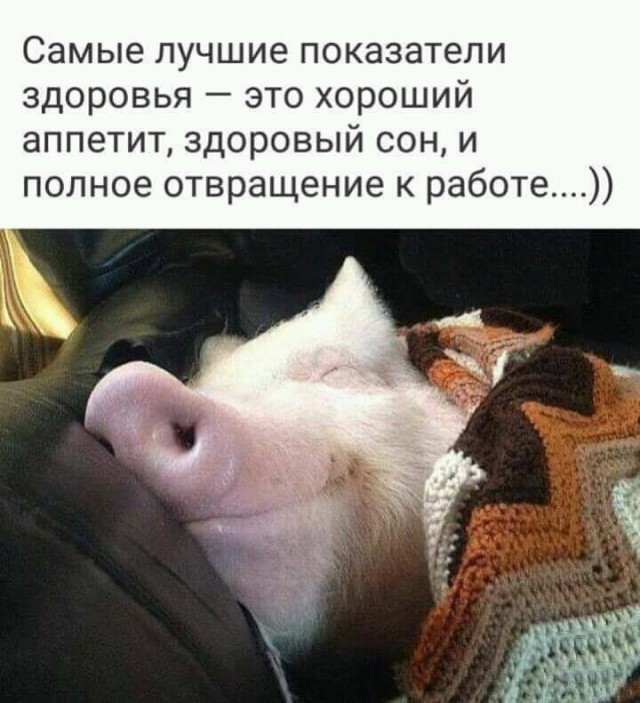 Подборка интересных и веселых картинок
