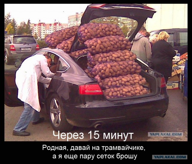 Дефицит картофеля в мире