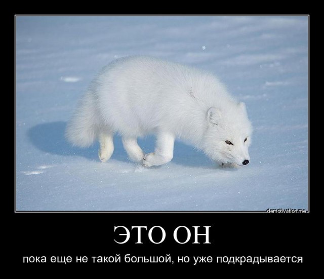 «Россия оказалась в ситуации цугцванга». Федор Лукьянов в эфире «Ъ FM» — о введении новых санкций со стороны США