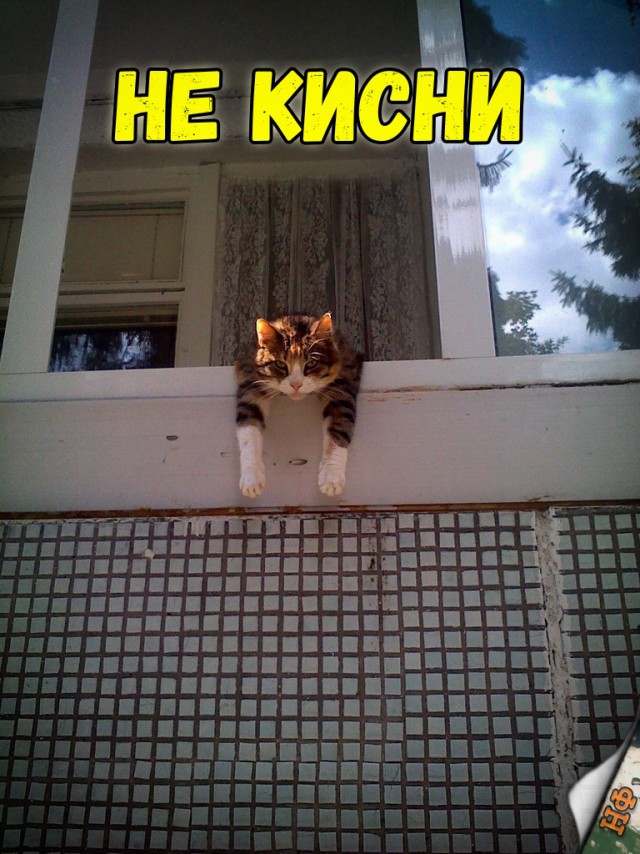 Нестандартный юмор
