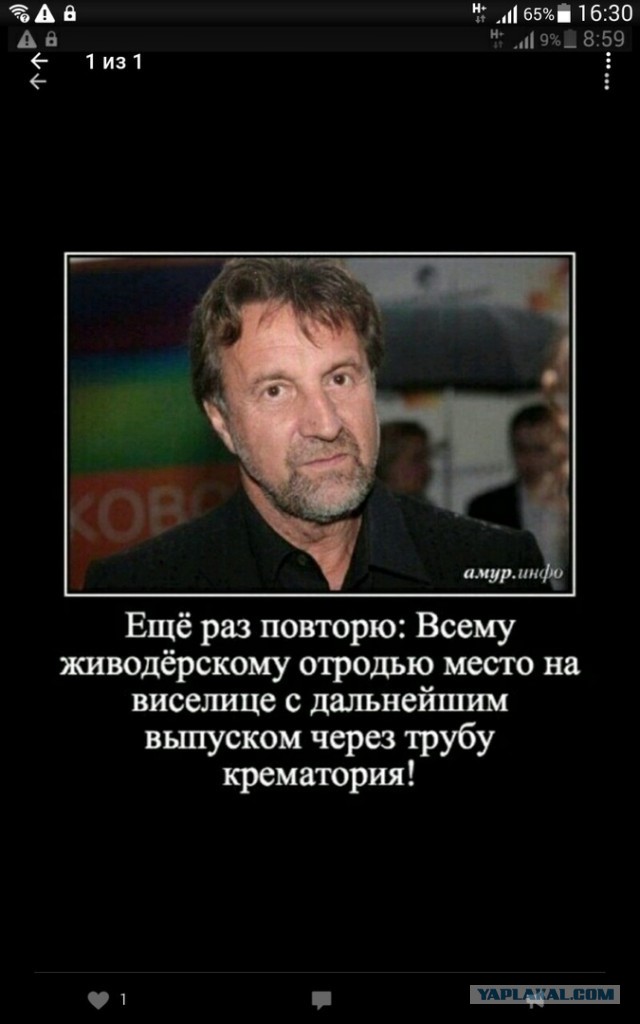 Почему люди не любят зоо(защитников)шизу?