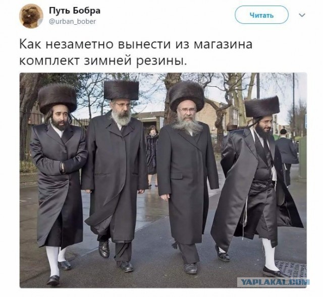 Запаска