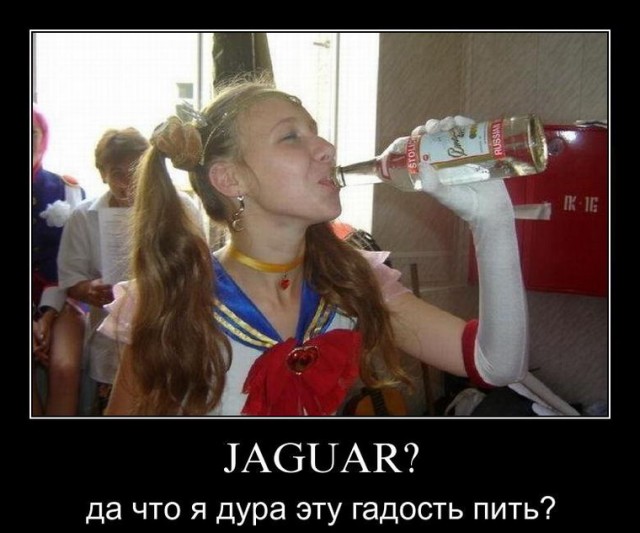 Запрет на слабоалкогольные напитки в Архангельске