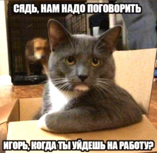 Чуток картинок 02.04.20